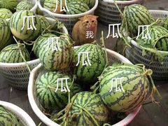 -韶山冲湘菜馆(大明湖店)