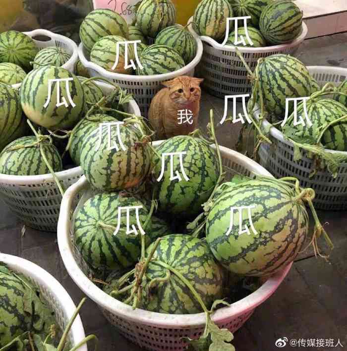 韶山冲湘菜馆(大明湖店)