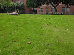 -四川大学(望江校区)