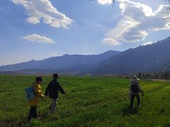 -北京凤凰岭