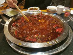 -一斗火锅·招财羊毛肚(北温泉九号店)
