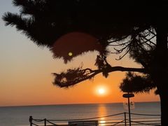 -日照海滨国家森林公园
