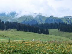 -新疆那拉提国家旅游度假区