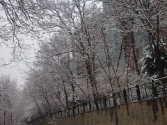 -中国宋庆龄青少年科技文化交流中心