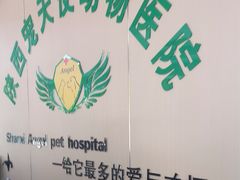 -天使宠物医院·犬猫分诊(彩虹店)