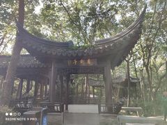 -上海佘山国家森林公园天马山园