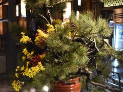 -湊湊火锅·茶憩(和平大悦城店)