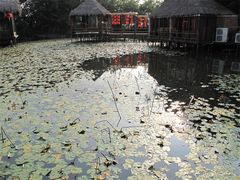 IMG_0676-茂德公草堂