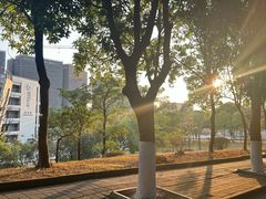 -广东药科大学(广州校区大学城校园)