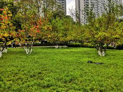 -成都市活水公园