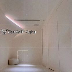 -紫御国际抗衰ZOE ANTI AGING