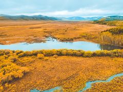 -塞罕坝国家级自然保护区