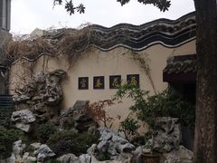 -富春茶社(国庆路店)