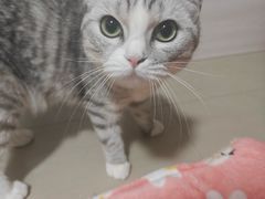 -博特宠物医院24h犬猫全科.骨科·异宠