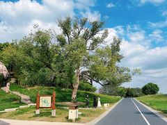 -良渚古城遗址公园