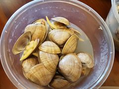 一桶黄蚬-渔娘渔家丹东海鲜(东直门店)