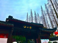 -上海醉白池公园