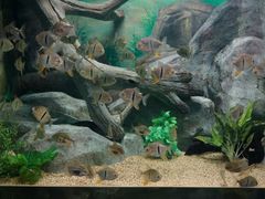 android_upload_pic-常州海昌海洋探索馆