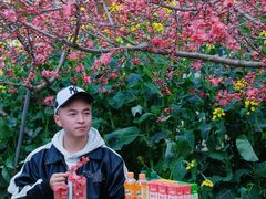 -桃源山庄·水蜜桃采摘·柴火鸡·烧烤团建(龙泉山店)