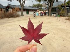 -景福宫
