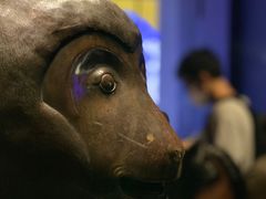 -广西壮族自治区博物馆