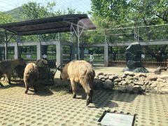 -西安秦岭野生动物园