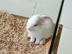 -怪兽屋·羊驼·猫咖·狗咖(俊华广场店)