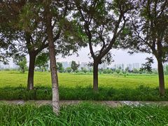 -汉长安城未央宫国家考古遗址公园