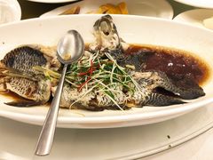 -骏莱海鲜鱼港(五角场店)
