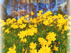 -瀛洲公园