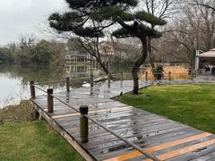 -新荣记(西溪湿地店)