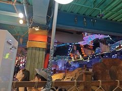 -海合安青岛极地海洋公园