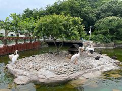 -大连老虎滩海洋公园