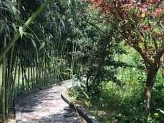 -南汇桃花村