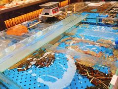 -大连湾旭日·家宴·海肠捞饭(马栏广场店)