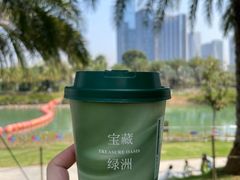 -宝藏绿洲(万象前海店)