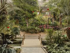 -南宫五洲植物乐园