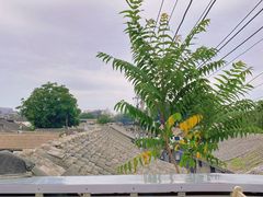 -前叁門