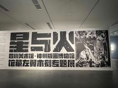 -四川美术馆