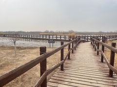 -西青郊野公园