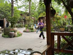 -青城甲(青城山店)