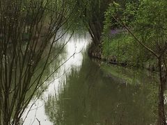 -溱湖国家湿地公园