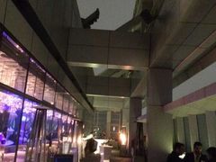 大堂-OZONE 顶楼酒吧(香港丽思卡尔顿酒店)
