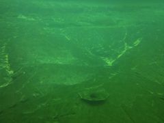 -白鹤梁水下博物馆
