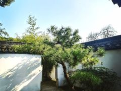 -上海醉白池公园