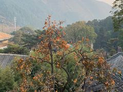 -潭柘寺景区