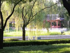 -元大都城垣遗址公园