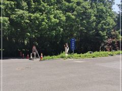 -棒棰岛宾馆景区