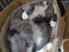 -奈雪的茶(时代天街店)