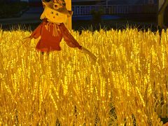 -巨鹏飞梦幻海岸